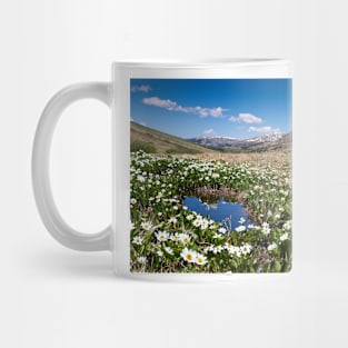 Summer in Colorado Mug